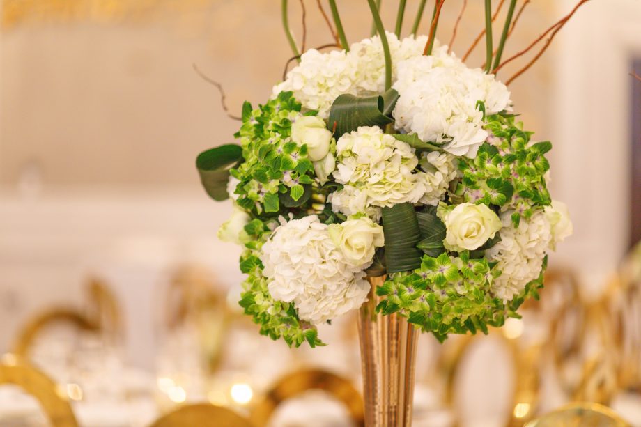 Morden Elegance services (16)